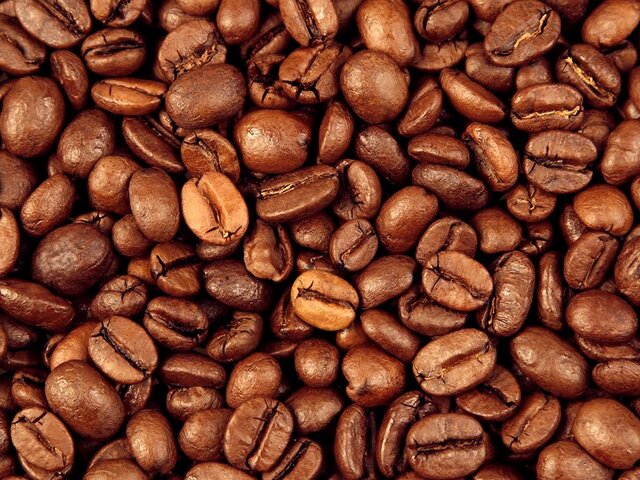 В ЕС могут уничтожить сотни тысяч тонн кофе и какао из-за закона о лесах – СМИ