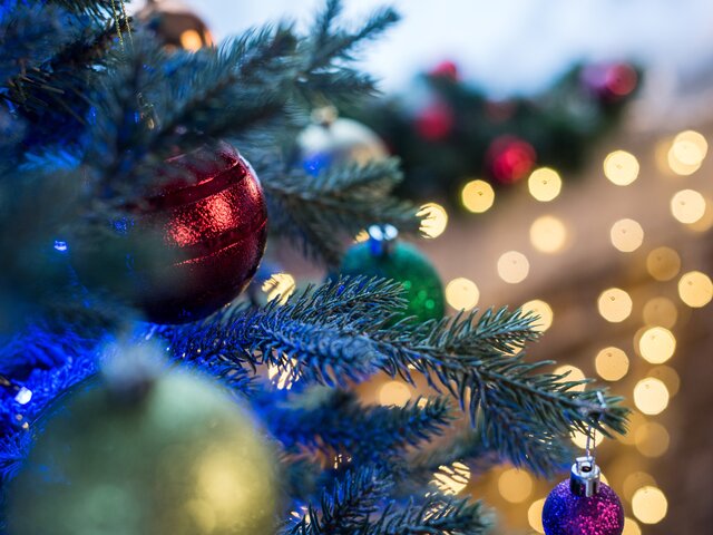 Ветер повалил главную рождественскую елку Вашингтона – СМИ