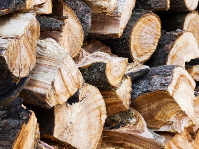 Генпрокуратура РФ проверит сообщения в СМИ о росте цен на дрова