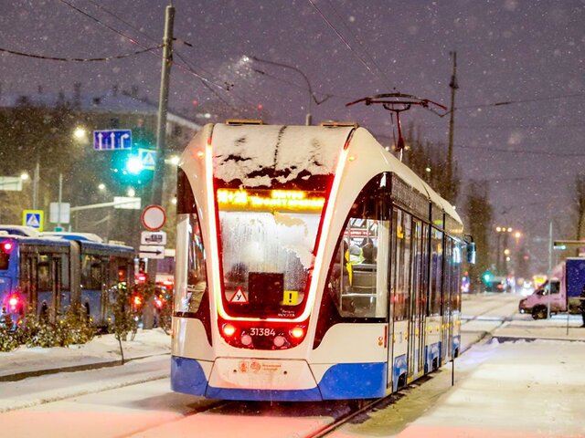 Москвичам рекомендовали пользоваться городским транспортом в выходные из-за снегопада