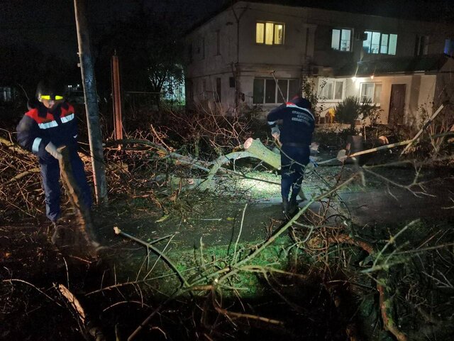 Три человека пострадали в Севастополе из-за штормового ветра – Развожаев