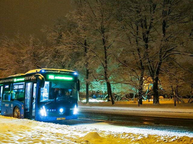 Около 2 млн человек смогут воспользоваться общественным транспортом Москвы в Новый год
