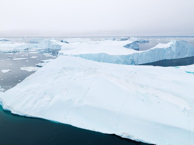 Зоолог США призвал Вашингтон отозвать свои претензии на шельф в Арктике