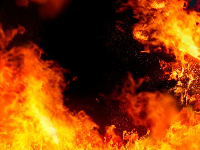 Правительство РФ утвердило уровни реагирования на природные пожары