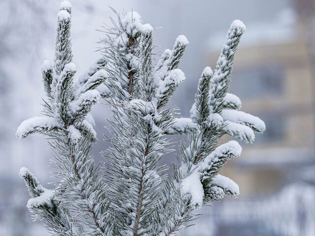 Синоптик рассказал об ожидаемом морозе до минус 50 градусов в некоторых районах Сибири