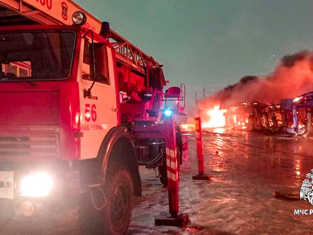Отец и двое детей погибли при пожаре в доме в Тамбовской области