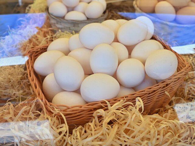 В РФ ввезли первую партию яиц из Азербайджана