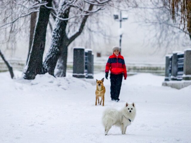Синоптик призвал не ждать таяния снега в Москве из-за оттепели