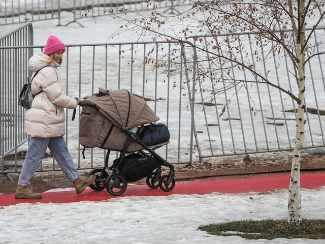 Путин утвердил выплату маткапитала только гражданам РФ на момент рождения ребенка