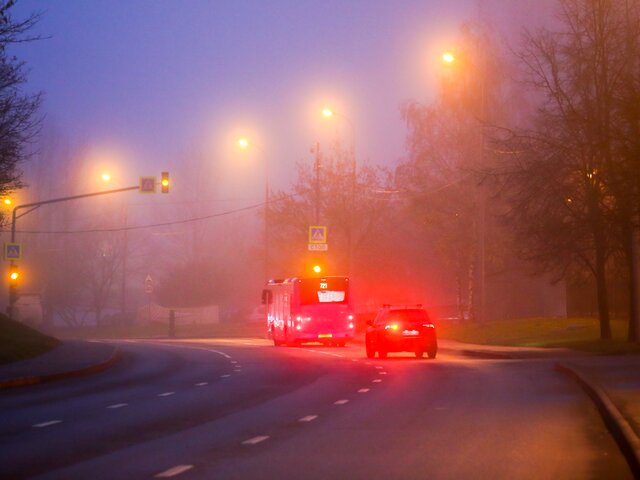 Москвичей предупредили о тумане до утра 3 октября
