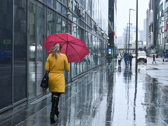 Дождливая и ветреная погода ждет москвичей в выходные
