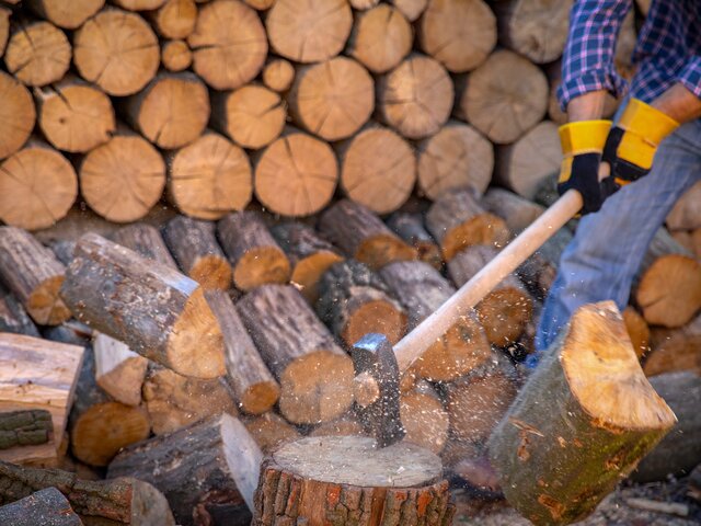 В ГД внесли законопроект о штрафах за нахождение в лесу с техникой для рубки