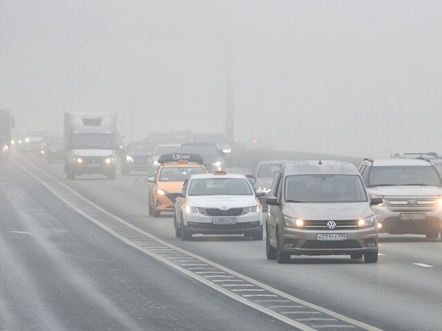 Желтый уровень погодной опасности объявили в Подмосковье из-за тумана
