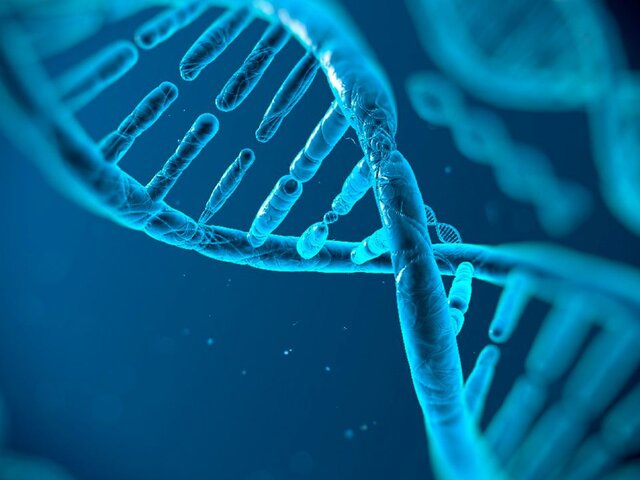 Ученые обнаружили образцы древнего ДНК в кирпиче возрастом 2 900 лет