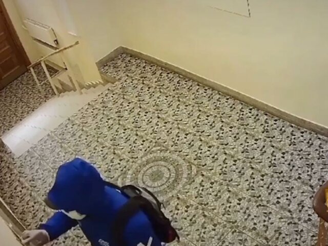 МВД опубликовало видео с моментом ограбления квартиры актрисы Рутберг