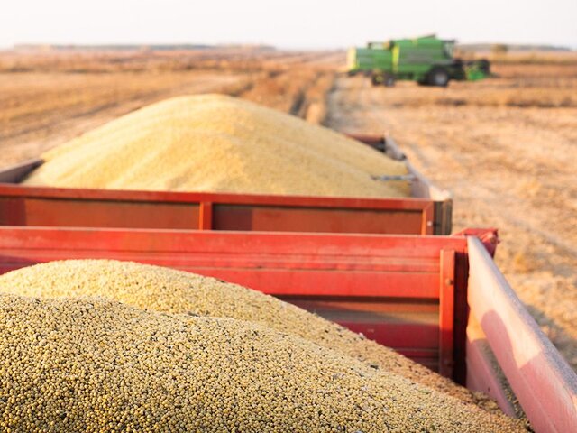 Песков заявил, что сроки поставки 1 млн тонн зерна беднейшим странам не определены