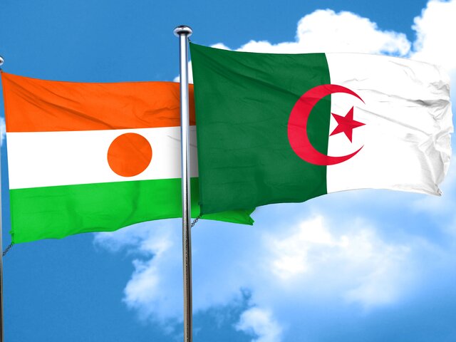 Нигер принял проект Алжира по восстановлению конституционного строя в стране