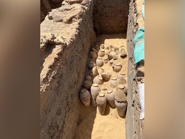 В Египте археологи нашли кувшины с остатками 5000-летнего вина