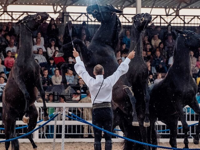 Москва онлайн покажет конное шоу с воздушными гимнастами и световыми эффектами