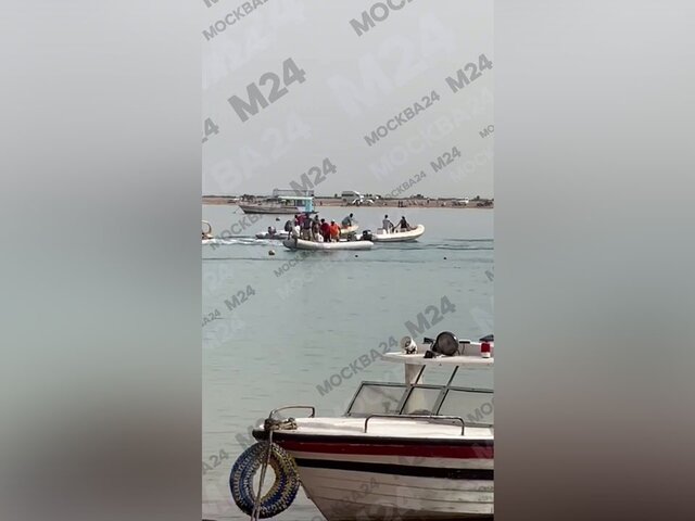 Жительница Египта пострадала в результате нападения акулы у побережья Дахаба