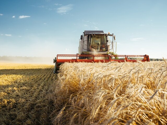 ВТО подтвердила, что Киев подал запрос на консультации по поводу запрета на ввоз зерна