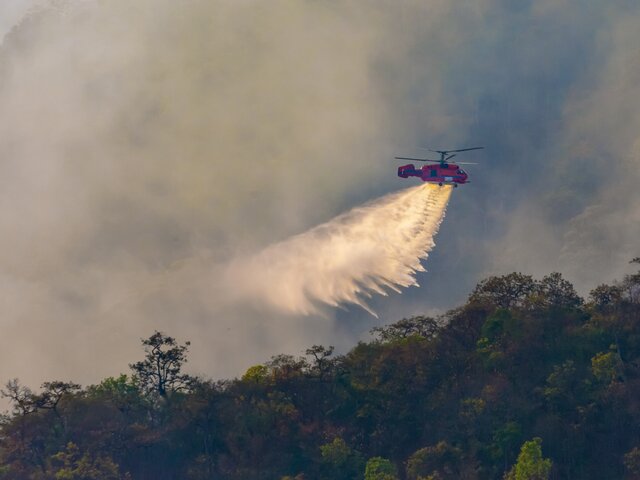В Геленджике загорелись 1 000 квадратных метров леса