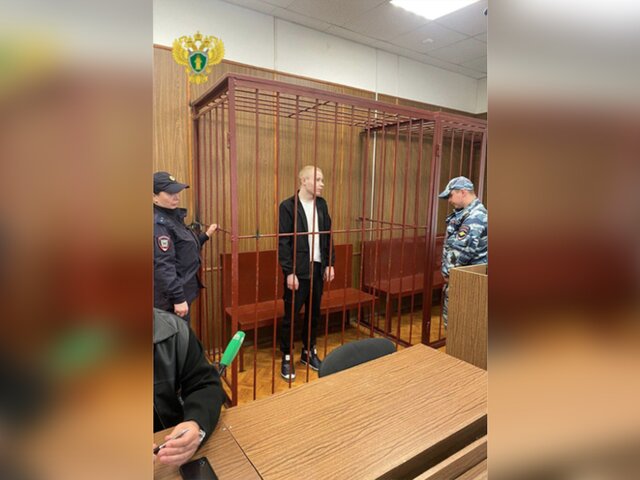 Суд в Москве арестовал виновника ДТП на 1-й Тверской-Ямской улице
