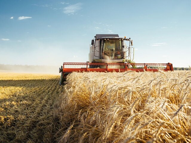 Обещания, которые были даны России в рамках зерновой сделки, оказались обманом – Лавров