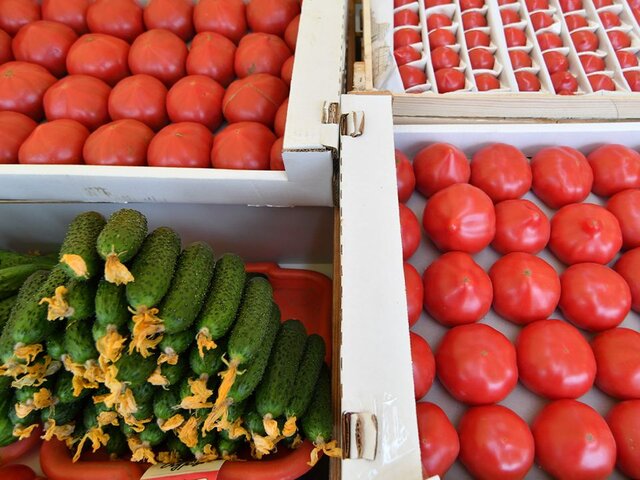 Россиянам рассказали, как изменятся цены на огурцы и помидоры до конца года