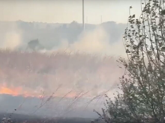 Воспламенившуюся траву на площади 50 га потушили в Ставропольском крае