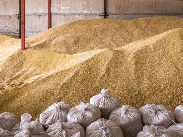 РФ уведомила Анкару, Киев и ООН о возражении против продления зерновой сделки