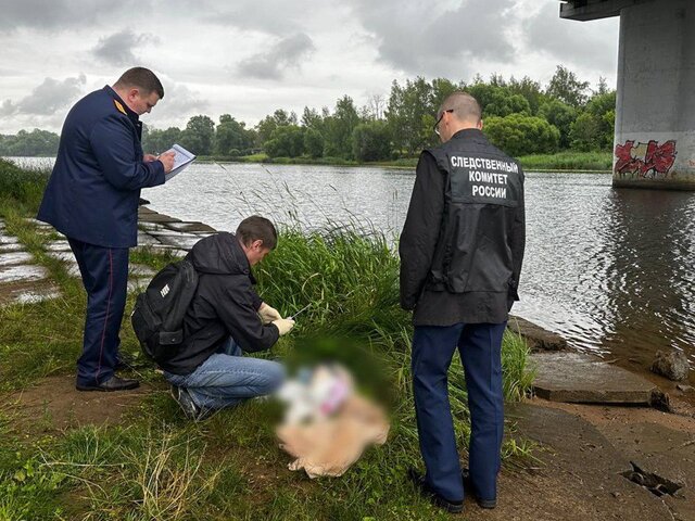 Тело младенца обнаружили в акватории реки Которосль в Ярославле
