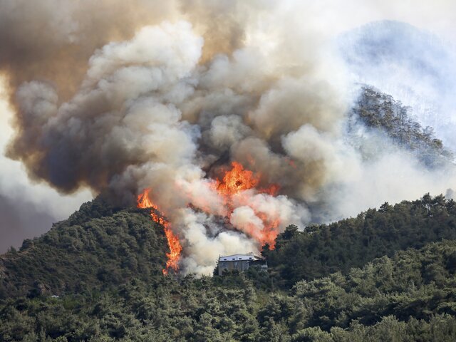 Очевидцы рассказали о ситуации с лесными пожарами в Турции