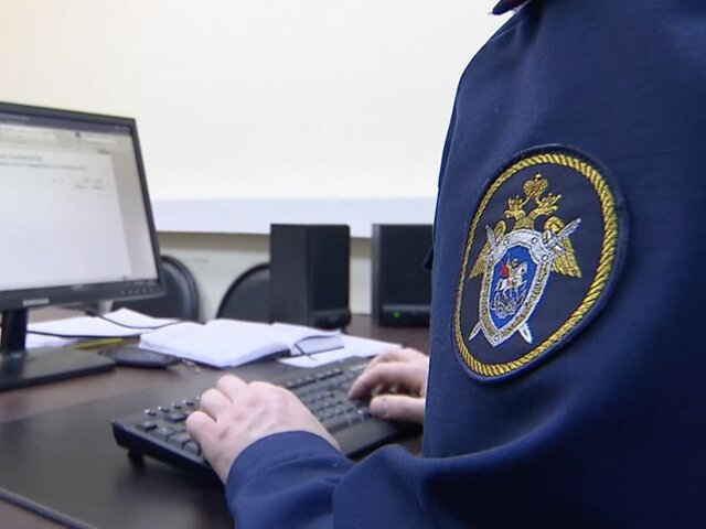 СК РФ организовал проверку после пропажи восьмилетней девочки в Екатеринбурге