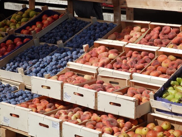 Россельхознадзор запретит поставки персиков, яблок и черешни из Новой Зеландии