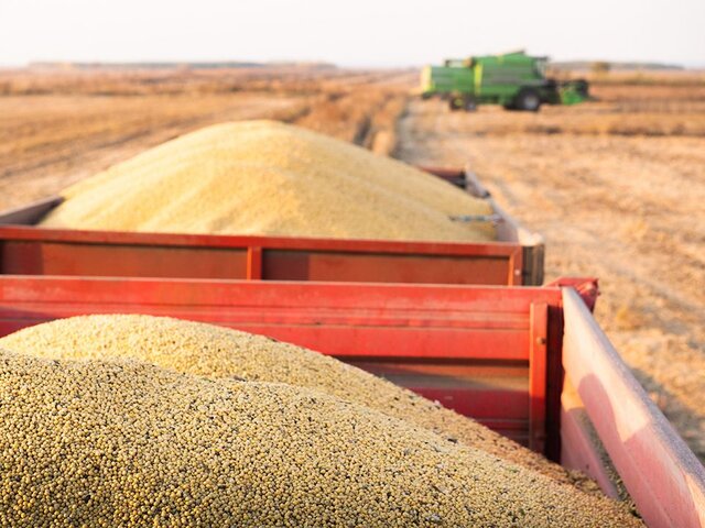 Россия, Турция и Катар готовят новое соглашение вместо зерновой сделки – СМИ