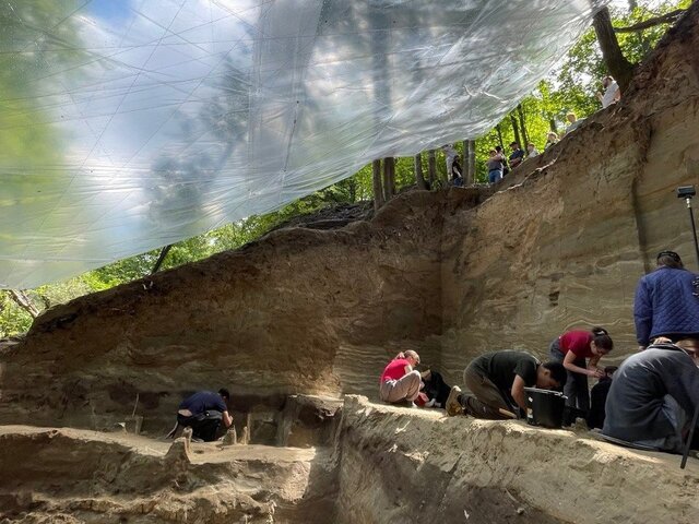 Археологи обнаружили кость с неандертальским орнаментом в Брянской области