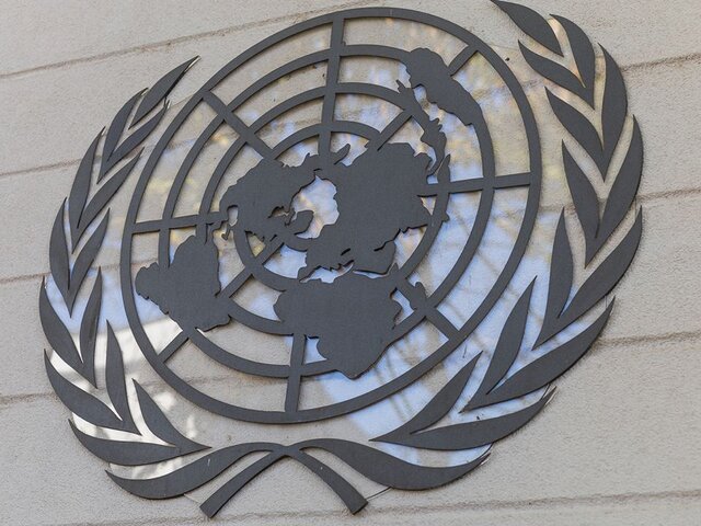 В ГД внесли проект постановления об обращении к ООН из-за атак ВСУ на россиян