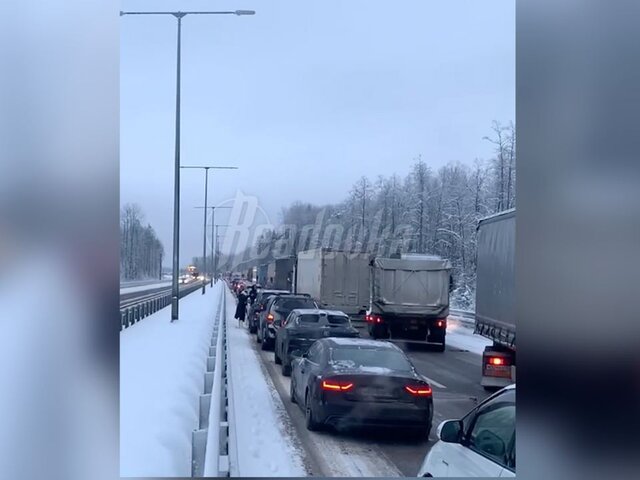 Четыре человека погибли в результате столкновения 30 машин в Новгородской области