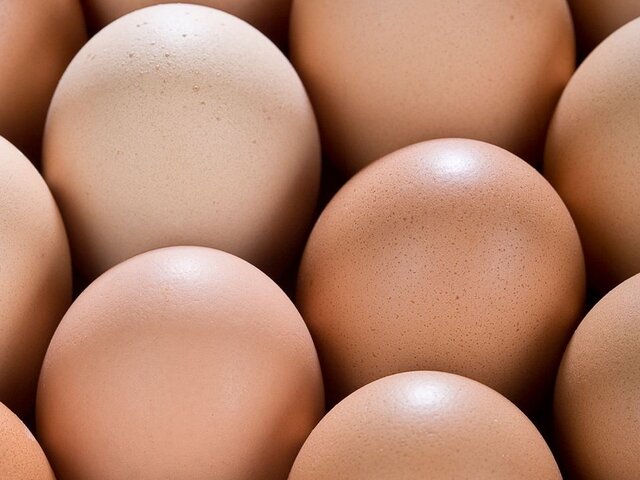 Россельхознадзор объявил о росте поставок куриных яиц из Белоруссии в РФ почти в 2 раза