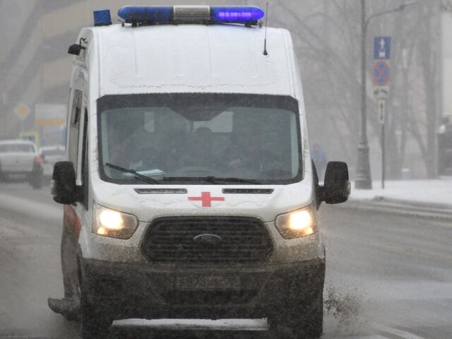 На Урале водитель насмерть сбил девочку, бежавшую в магазин за мандаринами