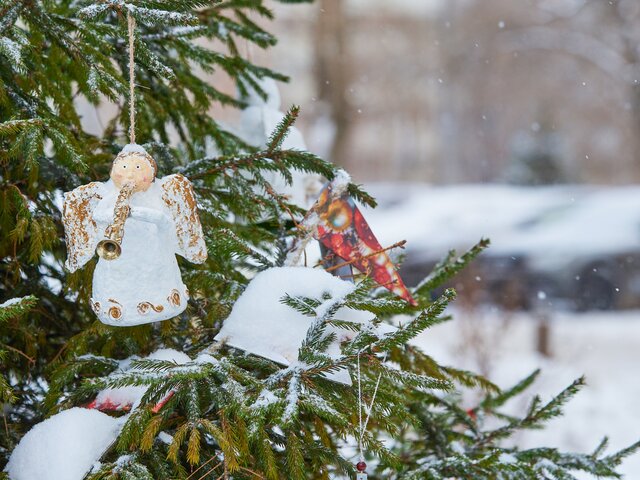 Москвичей предупредили о возвращении морозов на Рождество