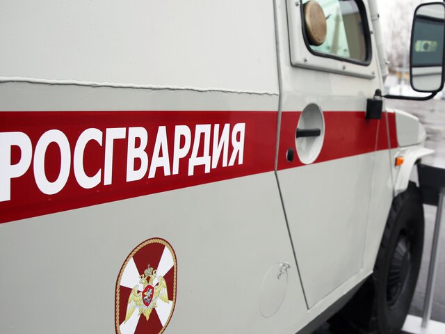 Свыше 440 экипажей Росгвардии будут патрулировать в Москве в новогодние праздники