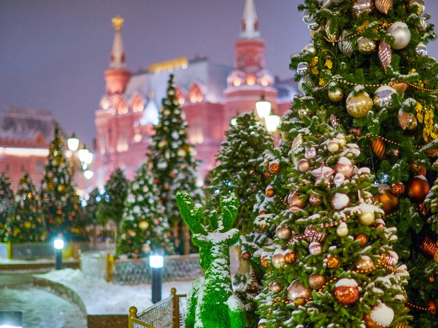 До 13 градусов мороза спрогнозировали в Москве в новогоднюю ночь