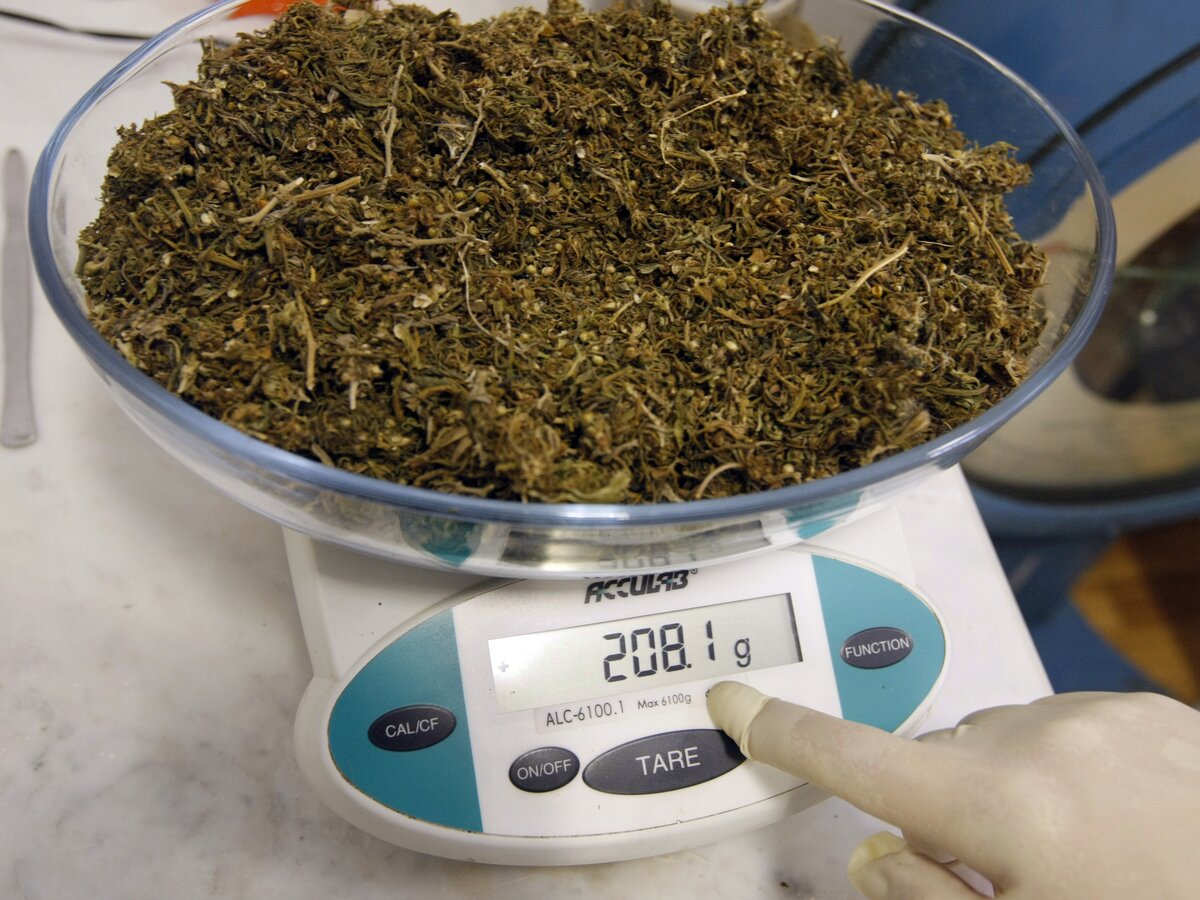 20 грамм марихуаны настроить браузер тор для торрента hydra2web