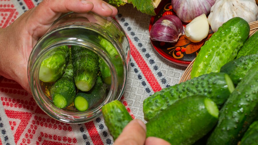 Зима близко. Как правильно засолить огурцы Москва 24, 06