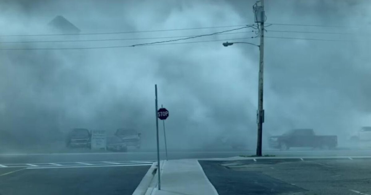 Мгла (the mist), 2007. Комплекс мгла. Мгла \ the mist. Комплекс мгла. Конец света.